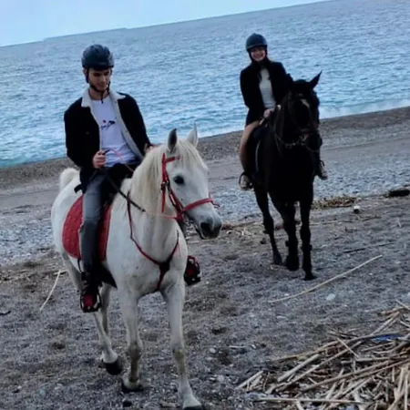 Lägenhet Seal Of Knight - Castle View - Downtown Near The Rhodes City