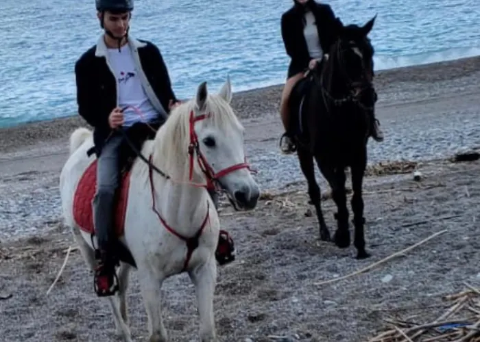 شقة Seal Of Knight - Castle View - Downtown Near The Rhodes City